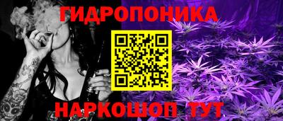 spice Донецк