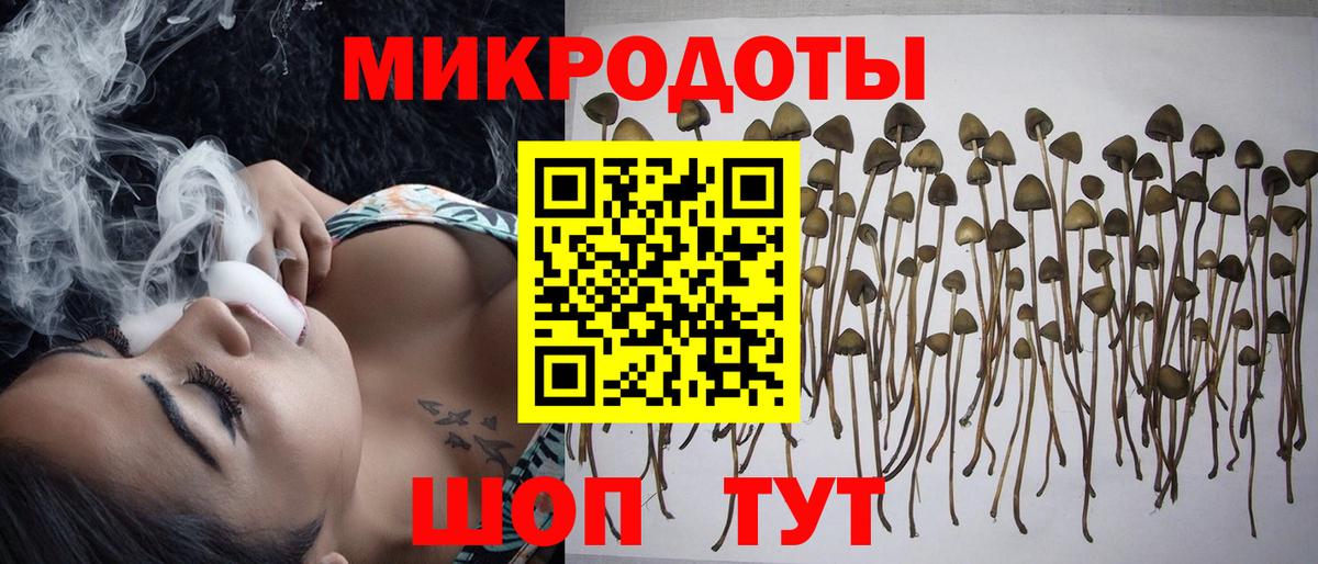 наркотики  Вход с VPN  Полевской  Псилоцибиновые грибы мицелий 